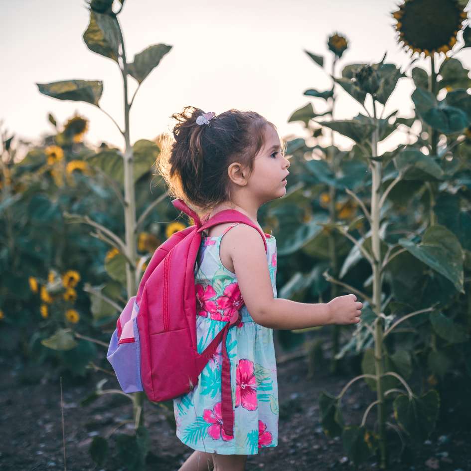 6 top emotions felt by toddlers Curiosity and Wonder